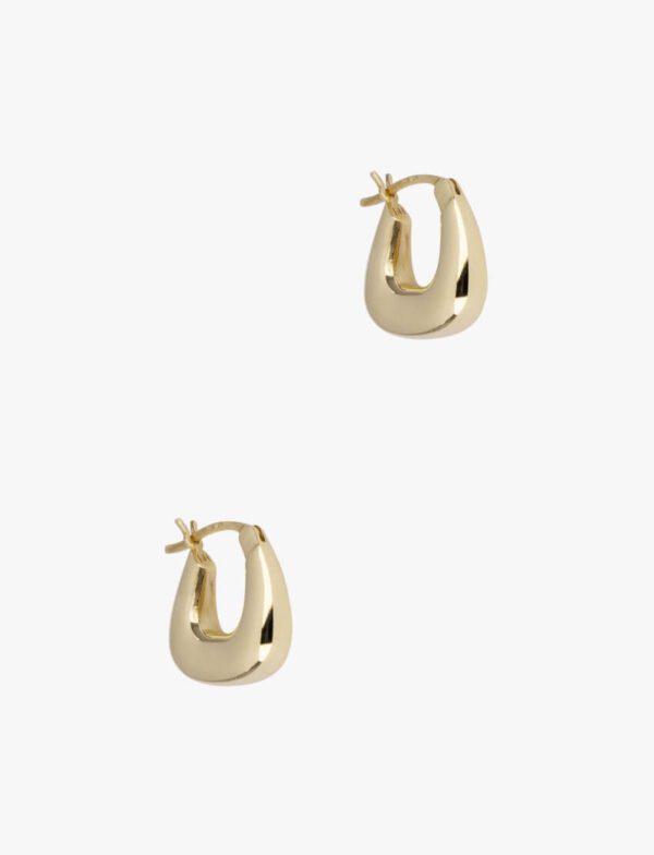 Graceful Hoop Earrings